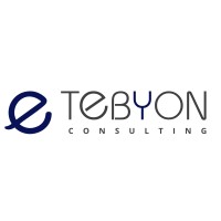 Tebyon Consulting logo - Similar company to Itech Synergy