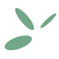 Loophole Automation logo - Similar company to Animini
