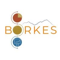 Borkes Consulting GmbH logo - Similar company to Value Glide