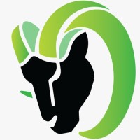 ODHIYA logo - Similar company to Digital Transformer