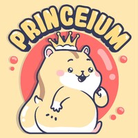 Princeium logo - Similar company to Excelsior