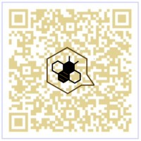 nycthehive logo - Similar company to Master Clinicians