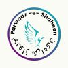 Parwaaz-E-Shaheen logo - Similar company to Soarjmi