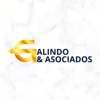 Galindo & Asociados HN logo - Similar company to 654Limo