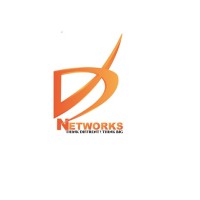 VD Networks India Pvt.Ltd logo - Similar company to Host.Co.In