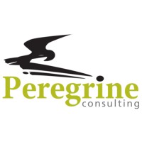 Peregrine Consulting Cyprus LTD logo - Similar company to Security Distribution Center