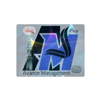 Avance Management LLC logo - Similar company to Frsnz