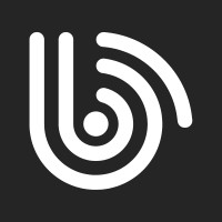 Brainiac Studio logo - Similar company to Creative Websters Ltd