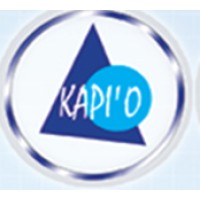 KAPIO GROUP logo - Similar company to Owatrans