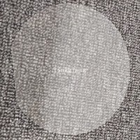 Glass Wafer logo - Similar company to Q4Glass