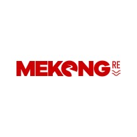 Mekong Re logo - Similar company to Mnk Group