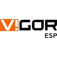 VIGOR HOLDINGS PVT LTD logo - Similar company to Geodd