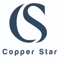 COPPER STAR GENERAL TRADING L.L.C logo - Similar company to Zev General Trading