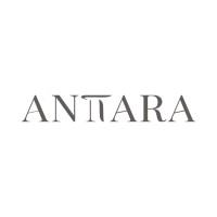 ANTTARA logo - Similar company to Violeta Vergara