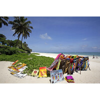 Diani Beach Hotels Kenya - Mombasa logo - Similar company to Charchoma Restaurant