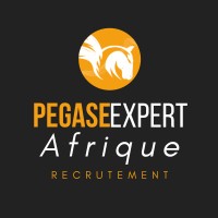 Pegase EXPERT AFRIQUE recrutement logo - Similar company to Pegase Informatique