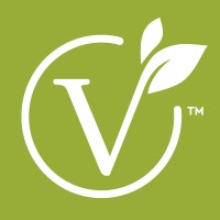 VeGo LLC logo - Similar company to Bbreezepr