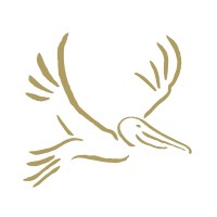 Brown Pelican WiFi logo - Similar company to Tater Networks