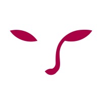 Morphace logo - Similar company to Ninichef Education Labs Inc