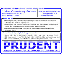 Prudent Consultancy Services logo - Similar company to Esperar Consultancy And Services