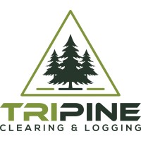 Lamonte williams logo - Similar company to Insizon