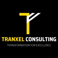 Tranxel Consulting logo - Similar company to Interactive Management Development