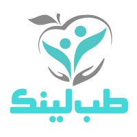 TebLink logo - Similar company to Larestan Higher Education Complex