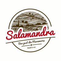 Salamandra Romania logo - Similar company to Dulce Cu Vin
