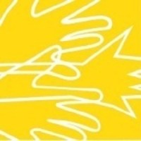 Parliamentary Forum on Small Arms and Light Weapons logo - Similar company to Myright-Empowers People With Disablities