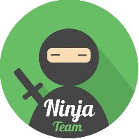 NInja Team logo - Similar company to Principlesoft
