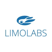 LimoLabs logo - Similar company to Arthak