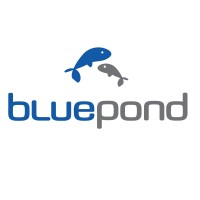 Bluepond logo - Similar company to Aceflow