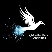 Light in the Dark Analytics LLC logo - Similar company to Trutext
