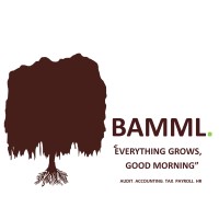 BAMML  INC logo - Similar company to Bamml