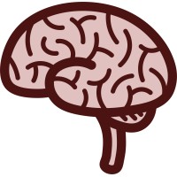 Neuroscience and Psychology Association logo - Similar company to Peers Network