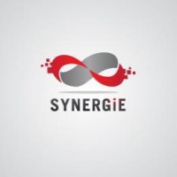 Synergie Networks logo - Similar company to Proswl Technology Private Limited