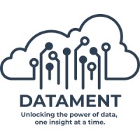 Datament logo - Similar company to Virtual Techz