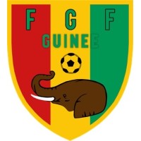 Équipe de Guinée de Football logo - Similar company to Itie-Guinee