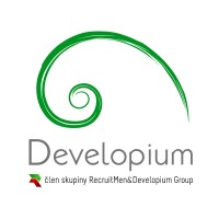Developium logo - Similar company to Lighting Beetle*