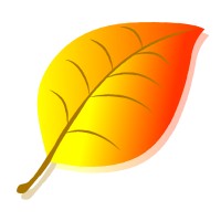 The OrangeLeaf logo - Similar company to Orange Leaf