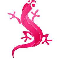 Savannah Visuals logo - Similar company to Minmud