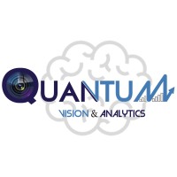 QUANTUM VİSİON&ANALYTİCS logo - Similar company to Metgesoft