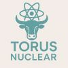 Torus Nuclear logo - Similar company to Bend.Ai