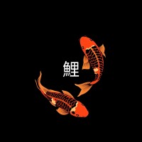 Koi Asset Management logo - Similar company to Antares Bottle