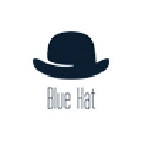 Blue Hat International logo - Similar company to Nitid.Ai