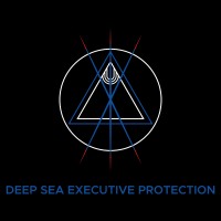 The Deep Sea Group logo - Similar company to Deep Sea Group
