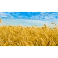 Crop Solutions Inc.