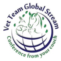 Vet Team Global Stream logo - Similar company to Cloud Security Alliance - Washington D.C. Metro Area Chapter