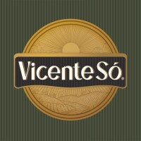 Vicente Só ® logo - Similar company to Blanic Solutions