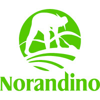Norandino logo - Similar company to Vva Industrial